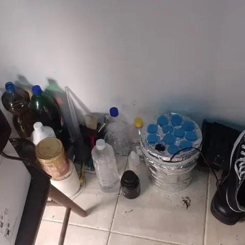Polícia Civil desmonta laboratório de maconha e produção de haxixe em condomínio no Antares