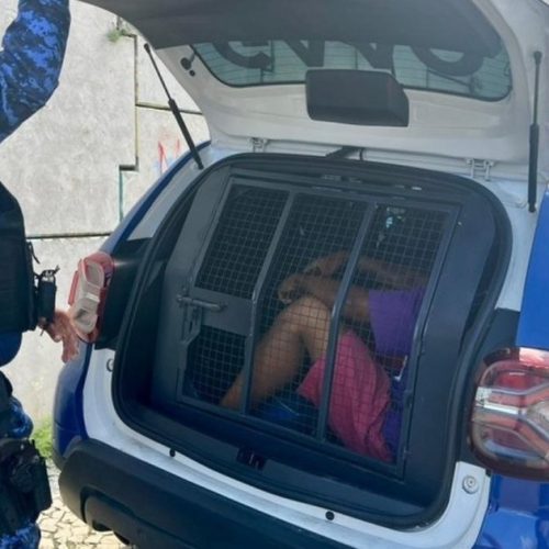 Operação prende suspeito com mais de 10 passagens e outro foragido