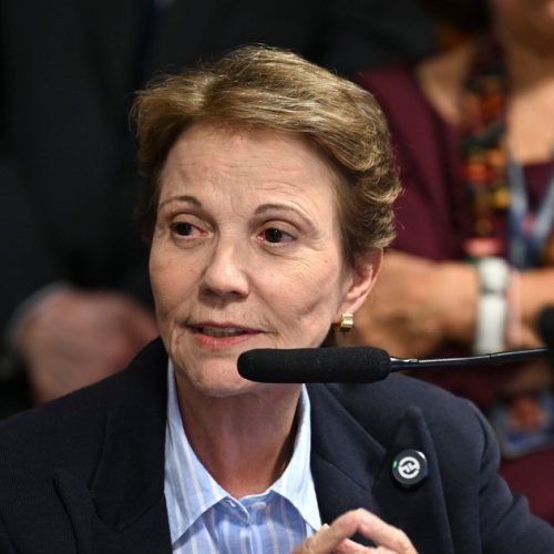 Tereza Cristina diz ter pouca chance de ser vice de Flávio Bolsonaro: “Até a hora final, tem espaço”
