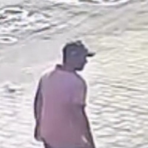Homem suspeito de agredir cachorro com pedaço de madeira é identificado em Arapiraca
