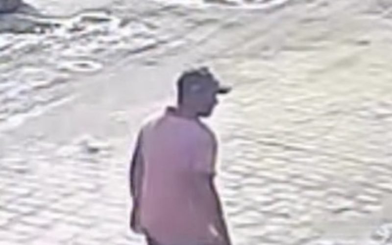 Homem suspeito de agredir cachorro com pedaço de madeira é identificado em Arapiraca