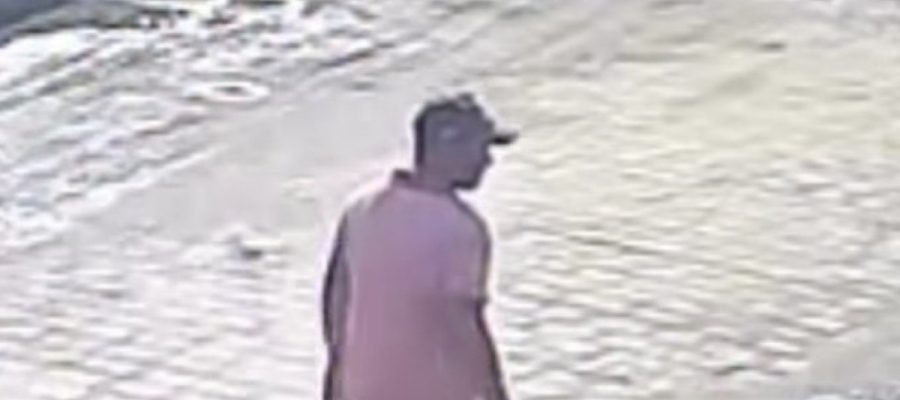 Homem suspeito de agredir cachorro com pedaço de madeira é identificado em Arapiraca