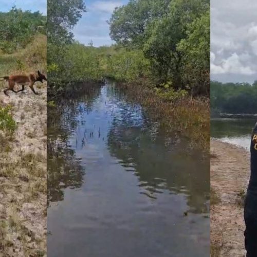 Polícia investiga possível cemitério clandestino usado por facção em Coruripe, interior de Alagoas
