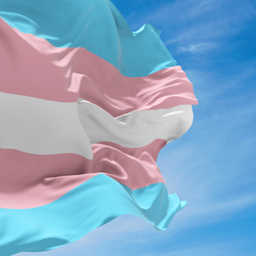 União é condenada a indenizar militar trans após sofrer humilhações transfóbicas nas Forças Armadas