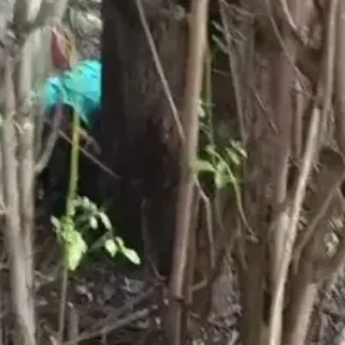 Homem é morto após fugir de perseguição e tentar se esconder em terreno na parte alta de Maceió