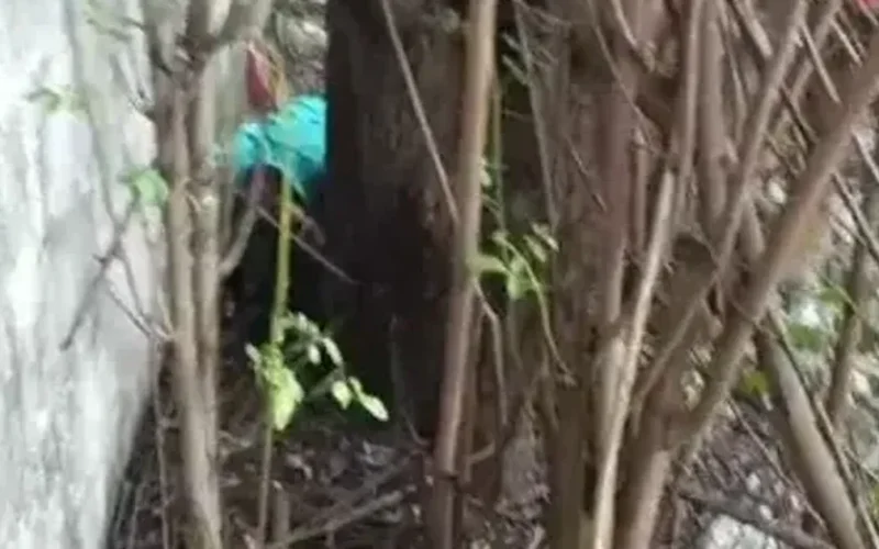 Homem é morto após fugir de perseguição e tentar se esconder em terreno na parte alta de Maceió
