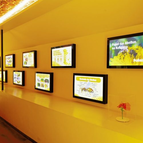 Cinturão Verde abre temporada de férias como opção de lazer para toda família 