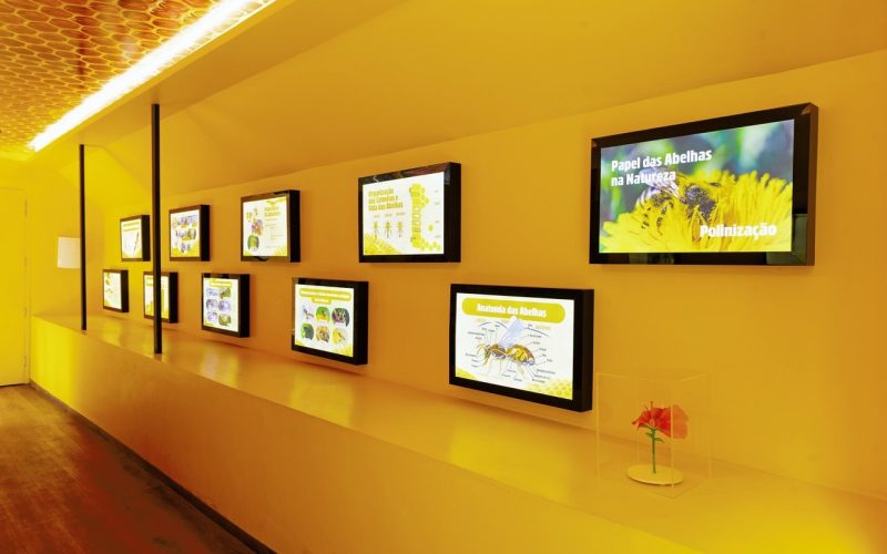 Cinturão Verde abre temporada de férias como opção de lazer para toda família 