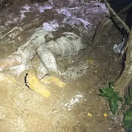 Dois homens são encontrados enterrados com mãos amarradas em cova rasa na Santa Amélia