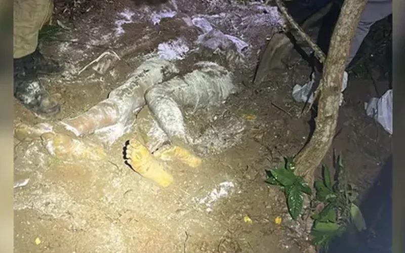Dois homens são encontrados enterrados com mãos amarradas em cova rasa na Santa Amélia