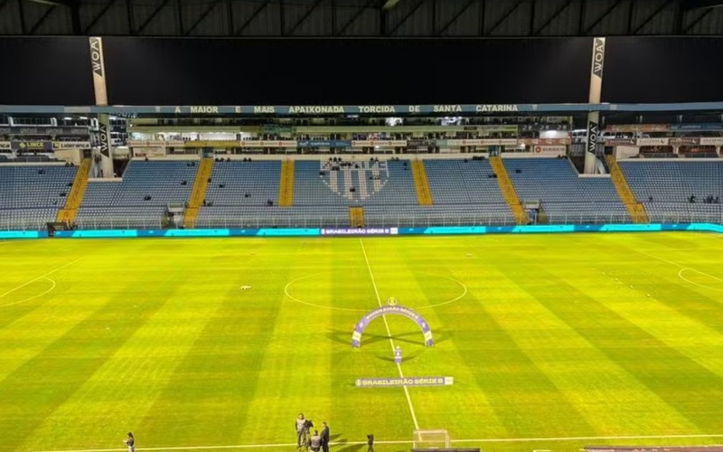 Avaí x CRB: Galo busca vitória para se aproximar do G-6 da Série B