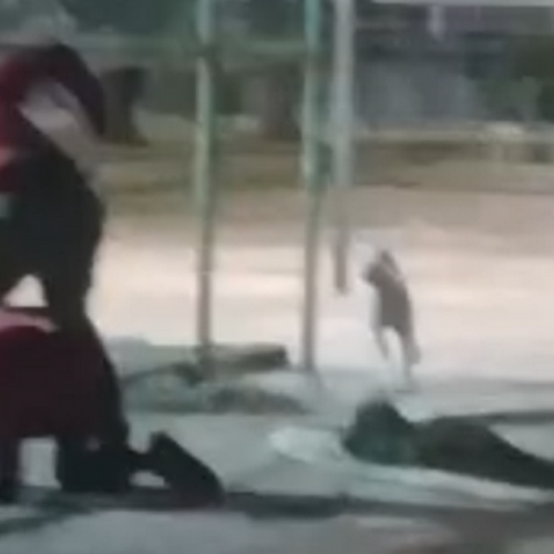 Agressão a mulher trans leva à apreensão de menor com histórico de apologia ao nazismo em São Miguel dos Campos, interior de Alagoas
