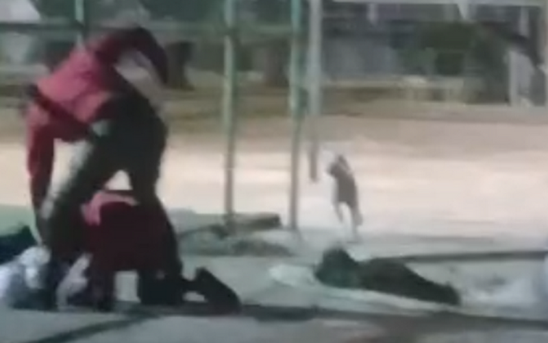 Agressão a mulher trans leva à apreensão de menor com histórico de apologia ao nazismo em São Miguel dos Campos, interior de Alagoas