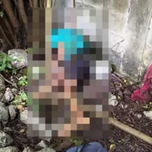 Jovem é encontrado morto com tiro na cabeça em terreno baldio