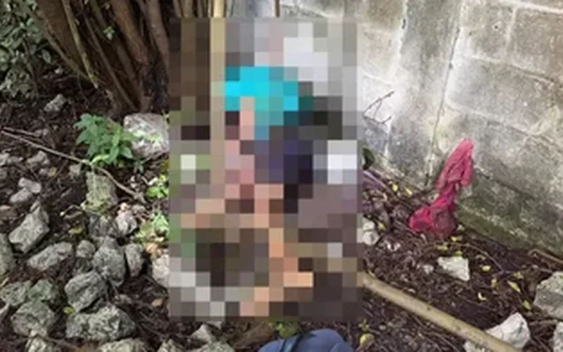 Jovem é encontrado morto com tiro na cabeça em terreno baldio