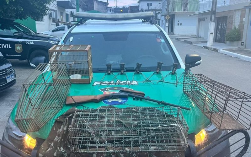 Ações ambientais resultam em apreensões de aves no interior e na capital