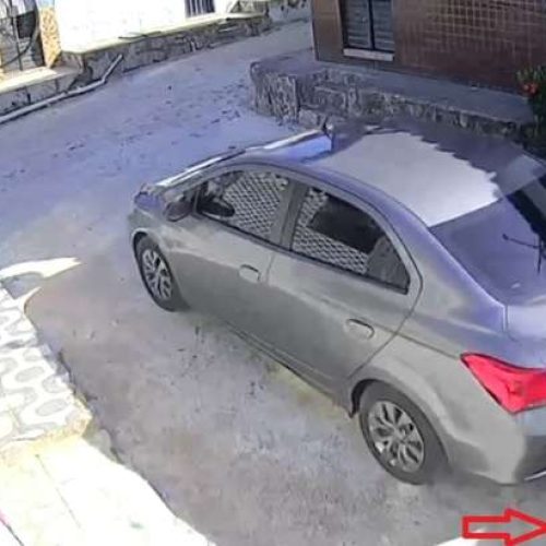 Homem é indiciado após atropelar cadela e não prestar socorro no São Jorge; vídeo flagrou crime
