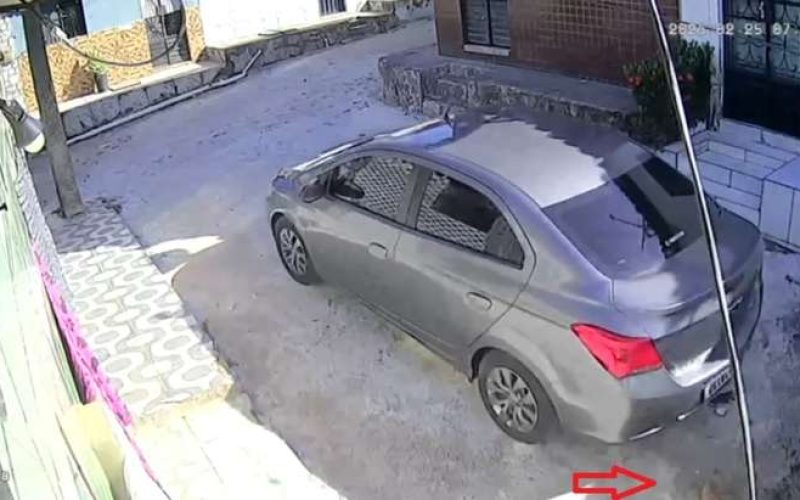 Homem é indiciado após atropelar cadela e não prestar socorro no São Jorge; vídeo flagrou crime