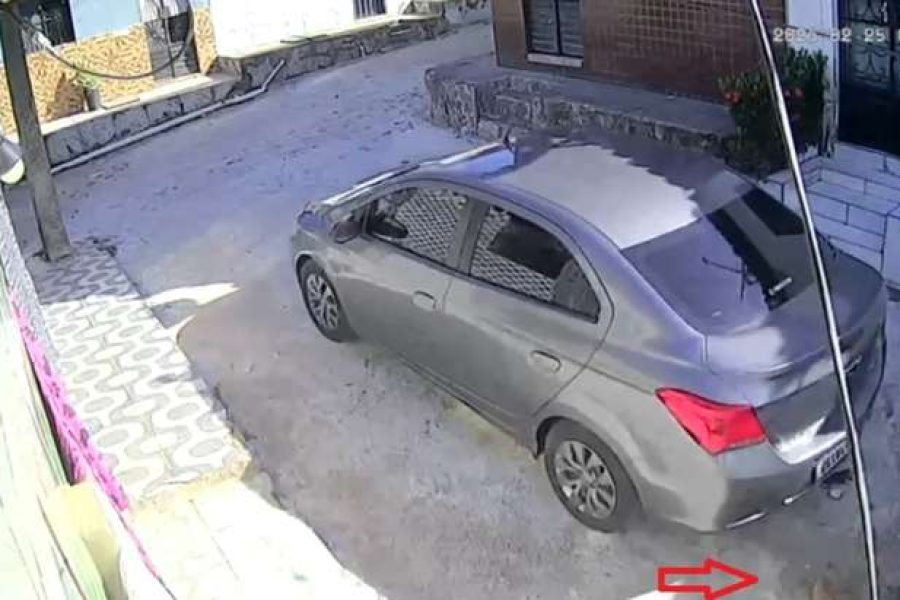 Homem é indiciado após atropelar cadela e não prestar socorro no São Jorge; vídeo flagrou crime