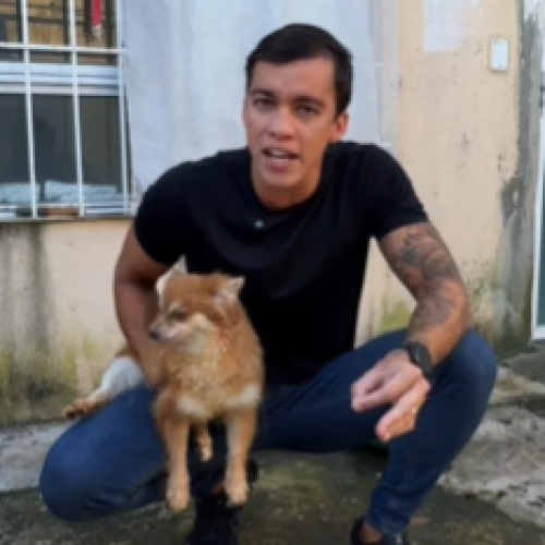 Deputado Delegado Leonam resgata animais usados como “máquinas de reprodução” em esquema de pet shop