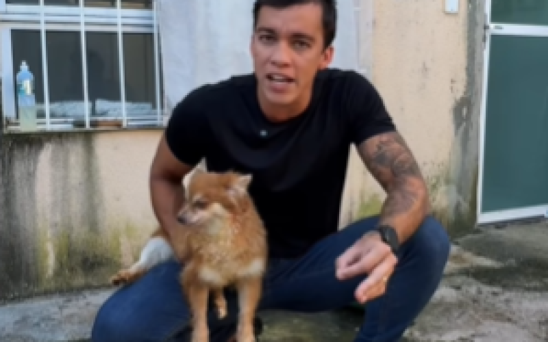 Deputado Delegado Leonam resgata animais usados como “máquinas de reprodução” em esquema de pet shop