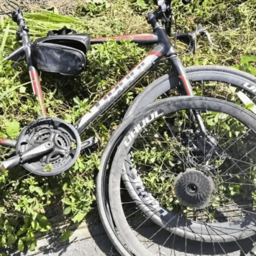 Motorista que atropelou e matou ciclista na AL-101 Sul se apresenta à polícia