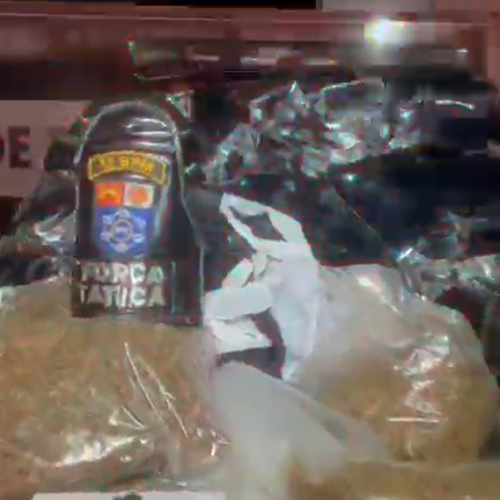 Força Tática apreende 60 pacotes de maconha após denúncia em Marechal Deodoro