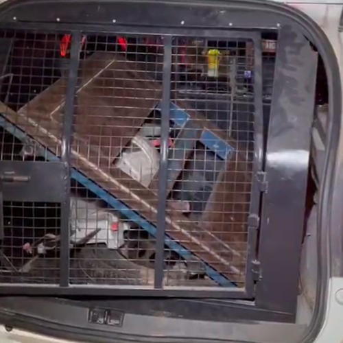 Homem é preso por furtar loja no Distrito Industrial