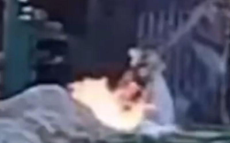 Homem põe fogo em ex-esposa e filha de 11 anos; mulher tinha medida protetiva contra o agressor