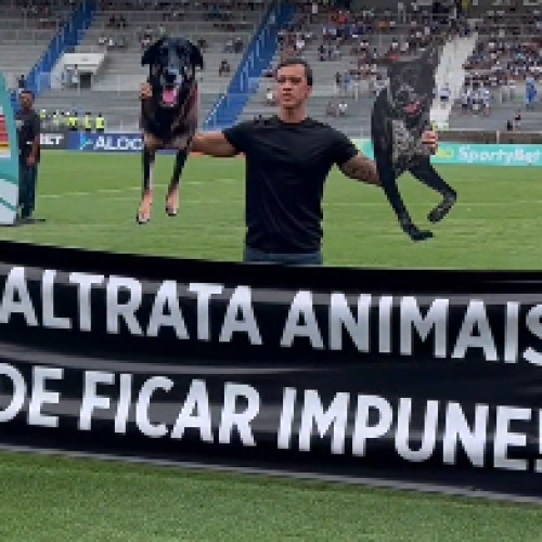 “Aquele que ama os animais ama a todos”, Deputado Delegado Leonam promove ação de conscientização no estádio Rei Pelé