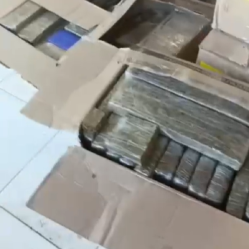 Cerca de 400 kg de drogas são encontrados dentro de casa em Arapiraca