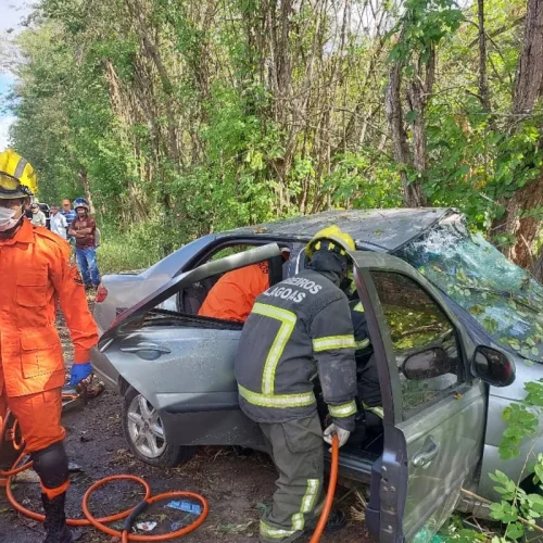 Carro colide contra árvore e deixa quatro feridos na BR-104