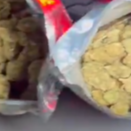 Polícia apreende R$ 20 mil em maconha durante operação no Vale do Reginaldo