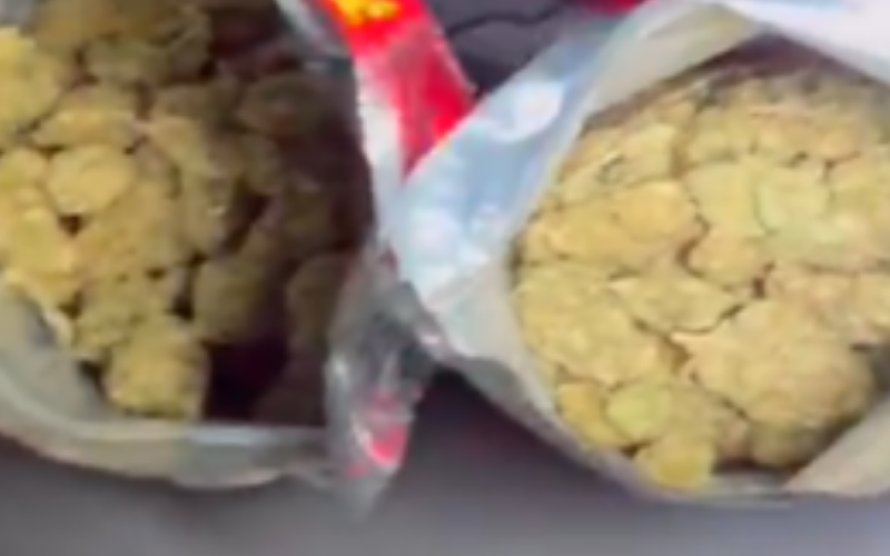 Polícia apreende R$ 20 mil em maconha durante operação no Vale do Reginaldo