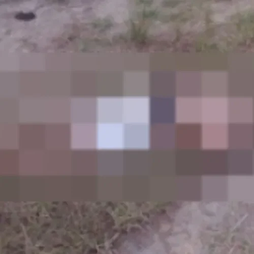 CORPO DE JOVEM É ENCONTRADO DECAPITADO EM PORTO CALVO