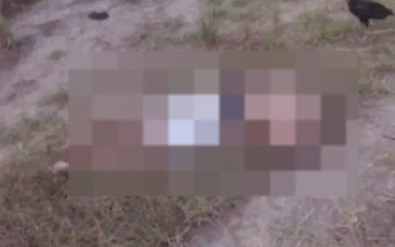 CORPO DE JOVEM É ENCONTRADO DECAPITADO EM PORTO CALVO