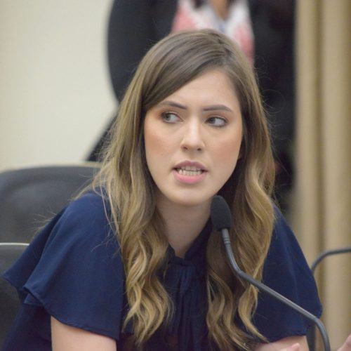 Ampliação da malha área internacional: Cibele Moura, única parlamentar alagoana em evento na Argentina, reforça apoio ao turismo