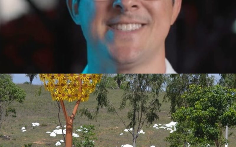 Prefeitura de Olho D’Água das Flores fecha contrato de aproximadamente R$1.6 milhões para manutenção de ar-condicionados