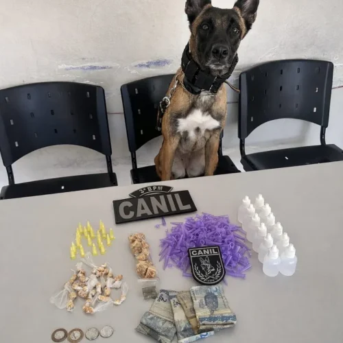 Homem usa criança de 8 anos para buscar drogas e acaba preso em flagrante em Arapiraca