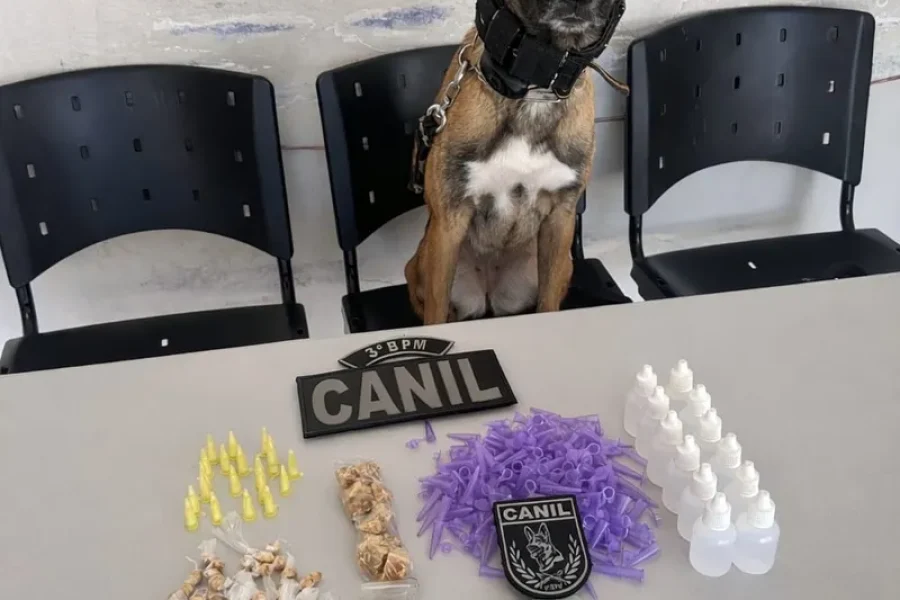 Homem usa criança de 8 anos para buscar drogas e acaba preso em flagrante em Arapiraca