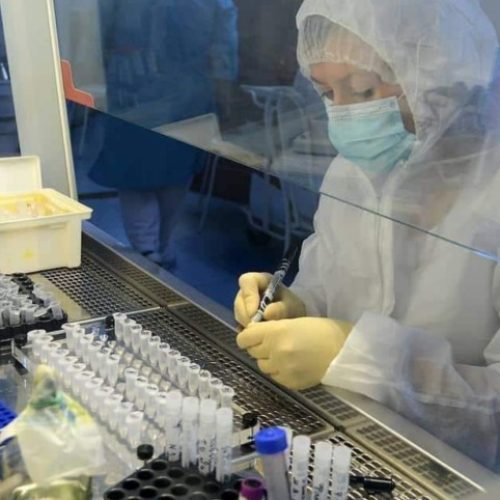 Austrália abre investigação após 323 frascos com vírus mortais desaparecerem de laboratório
