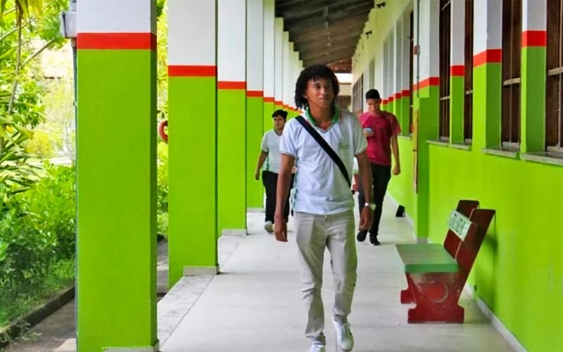 Ifal oferta 300 vagas para especialização em cursos a distância nos seis polos em Alagoas