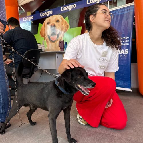 Projeto aprovado no Congresso reacende debate sobre testes em animais já proibidos através de lei em Maceió