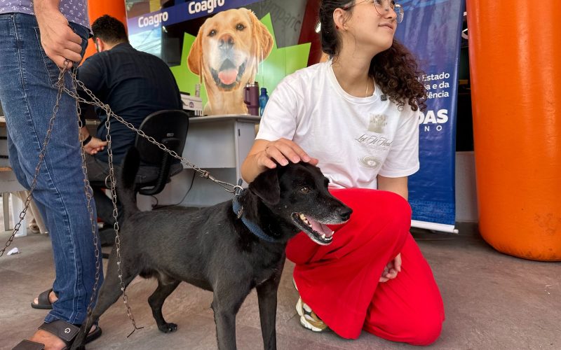 Projeto aprovado no Congresso reacende debate sobre testes em animais já proibidos através de lei em Maceió
