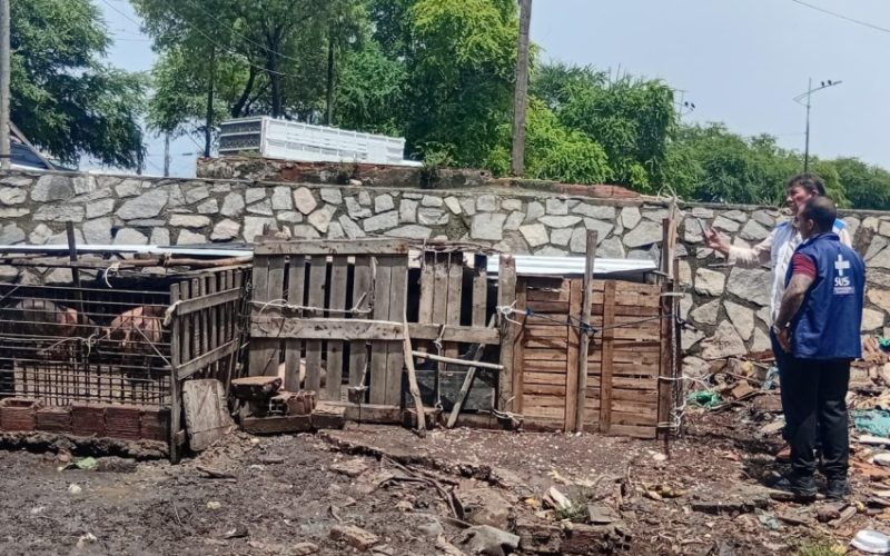Vigilância Sanitária notifica pocilgas clandestinas no bairro da Levada