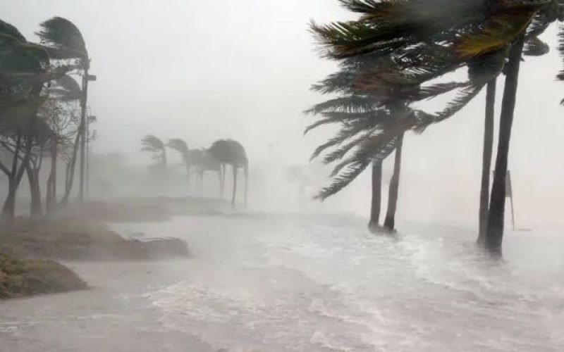 Fenômeno La Niña deve influenciar temperaturas no Brasil entre fevereiro e abril