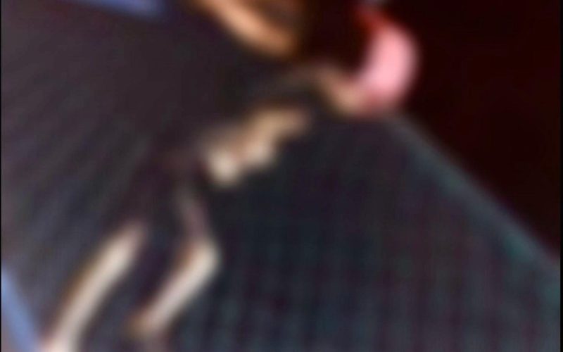 Jovem é flagrado em ato de vandalismo na Arena Acauã