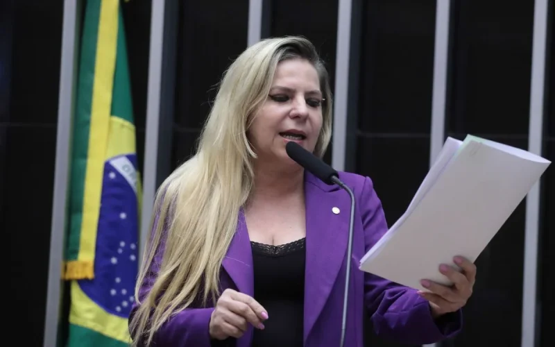 Assessoria de deputada do PT relata maus-tratos em prisão israelense