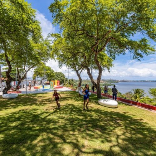 Maceió recebe selo internacional “Cidades Árvores do Mundo” por arborização urbana