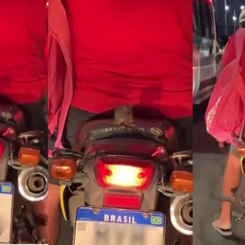 Rato é visto “dando rolê” em motocicleta e cena inusitada viraliza